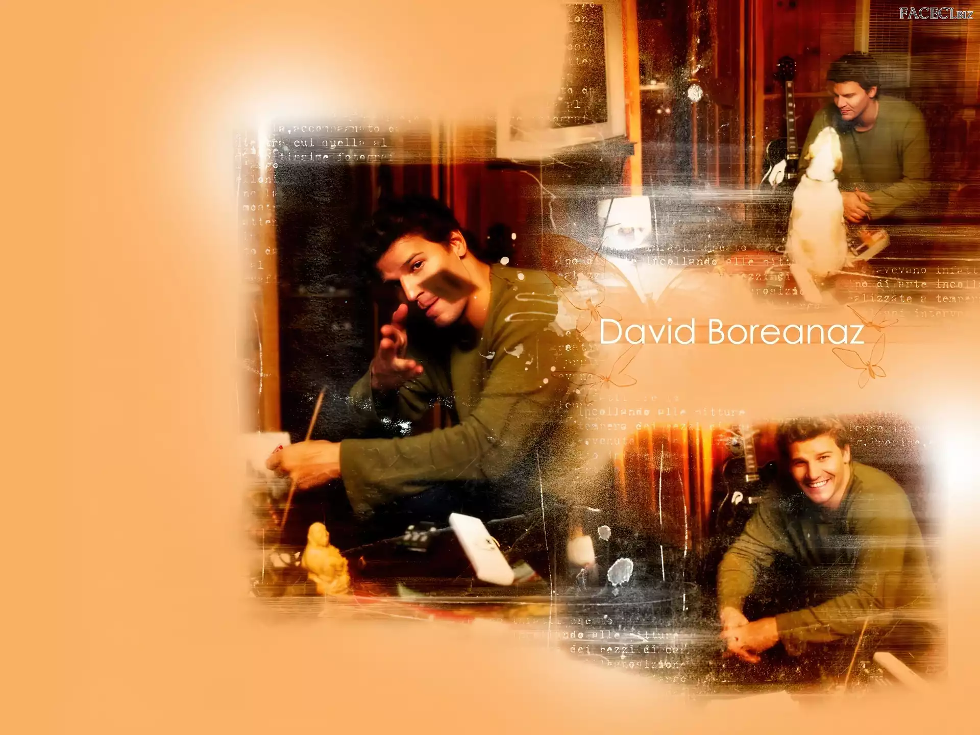 gitara, David Boreanaz, ciemne włosy